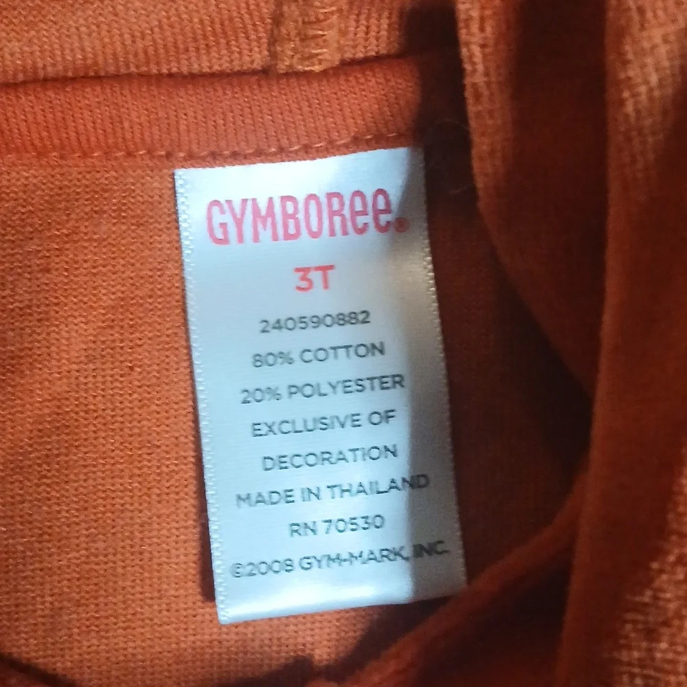 Gymboree Girls Burnt Orange Velour Hoodie Size‎ 3T